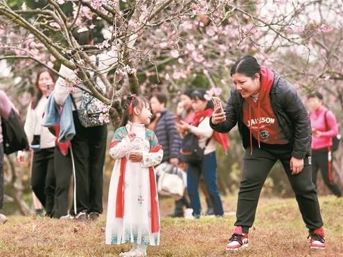 3月10日起一周来南沙十八罗汉山赏樱