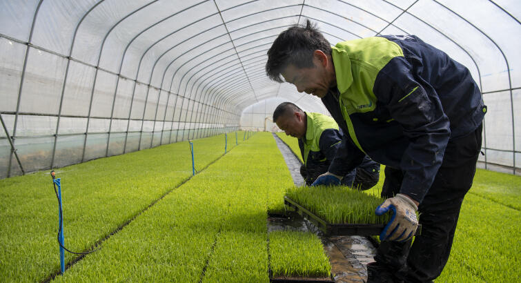 智慧育秧助农节本增收