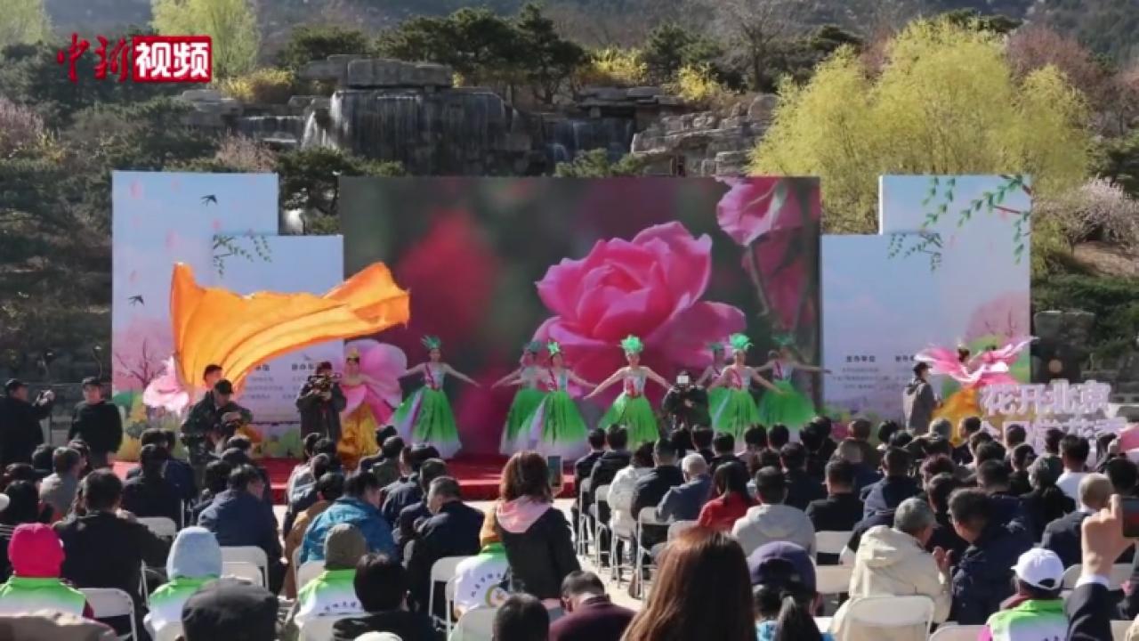 北京“春季赏花地图”为民众打造个性化游线