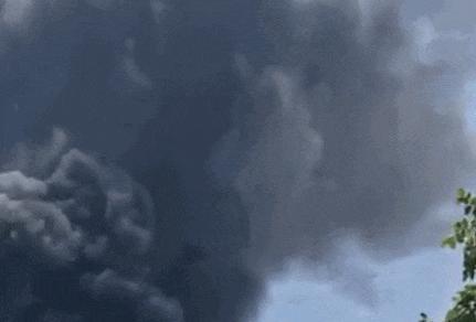c737d1af-a102-4d82-b935-6f0f8bedf559.jpg