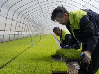 智慧育秧助农节本增收