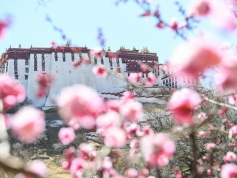 Breathtaking spring scenery across China