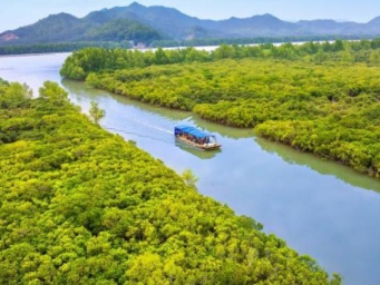 广东持续开展湿地保护修复 国家湿地公园27处