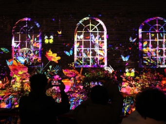 Light show delights visitors in Shanghai