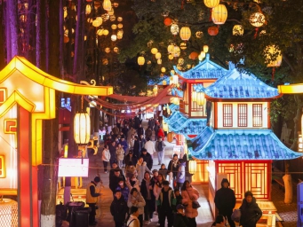 Cities hang lanterns to greet Spring Festival across China