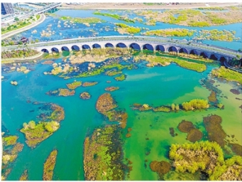 杭州发布首批市级湿地名录