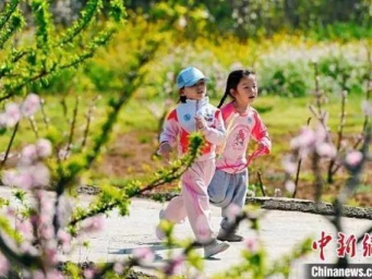 多地“赏花经济”催热“春游经济”