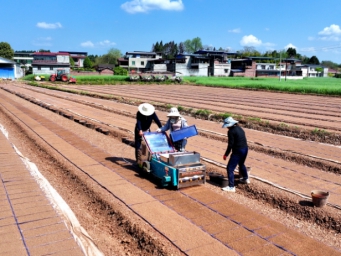 四川仁寿：水稻集中育秧忙