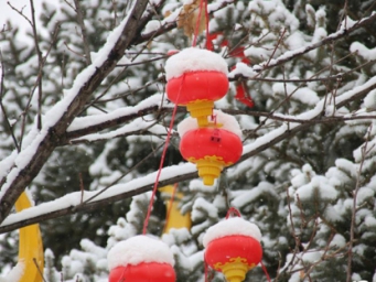 瑞雪兆丰年 河北崇礼春节前夕迎降雪