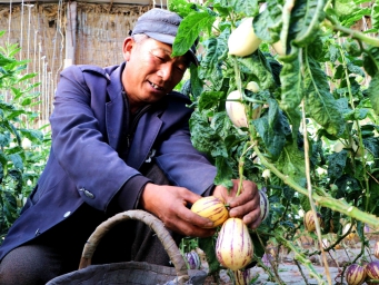 甘肃民勤：春耕时节“春收”忙