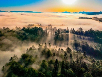 Stunning scenery of sun shining through clouds over forest