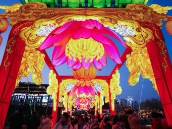 Stunning lanterns greet Spring Festival in Nanjing