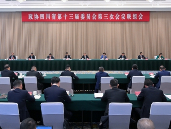 王晓晖参加省政协十三届三次会议联组会